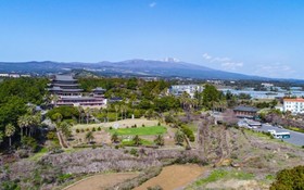 Seogwipo Hawonga Pension