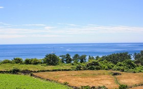 Seogwipo Hawonga Pension