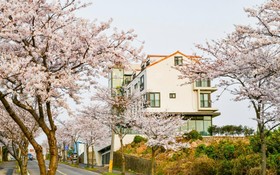 Seogwipo Hawonga Pension