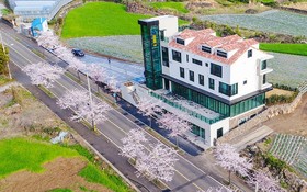 Seogwipo Hawonga Pension