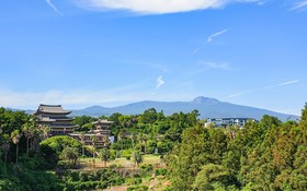 Seogwipo Hawonga Pension