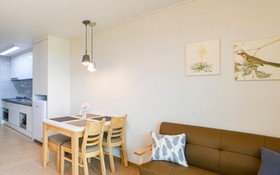 Seogwipo Hawonga Pension