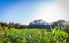 Seogwipo Hwamok Pension