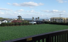 Seogwipo Ilhae Pension