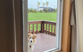 Seogwipo Ilhae Pension