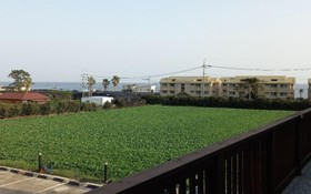 Seogwipo Ilhae Pension