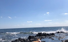 Seogwipo Ilhae Pension