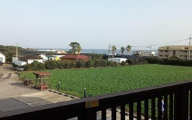 Seogwipo Ilhae Pension