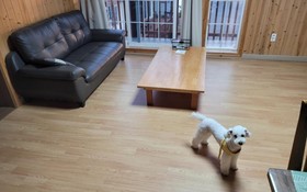 Seogwipo Ilhae Pension