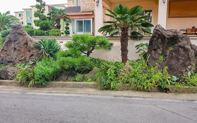 Seogwipo Jayudosi Pension