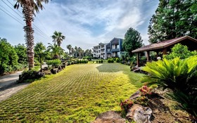 Seogwipo Jungmun Happy Sketch Pension