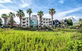 Seogwipo Jungmun Happy Sketch Pension