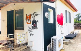 Seogwipo Labong Guest House