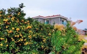 Seogwipo Soesokkak Cheonil Pension