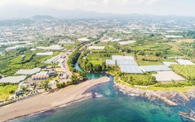 Seogwipo Soesokkak Cheonil Pension