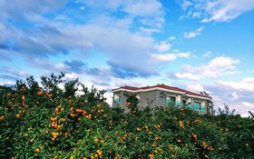 Seogwipo Soesokkak Cheonil Pension