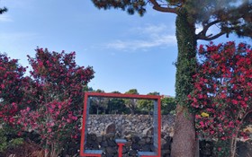 Seogwipo Soesokkak Cheonil Pension