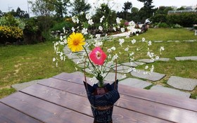 Seogwipo Soesokkak Cheonil Pension