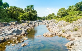 Seogwipo Soesokkak Cheonil Pension