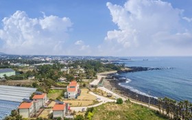 Seogwipo Toto Pension