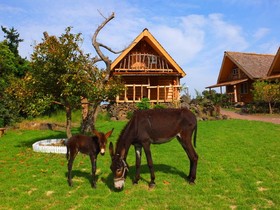 Tree House