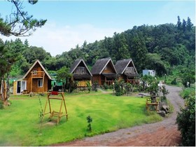 Tree House