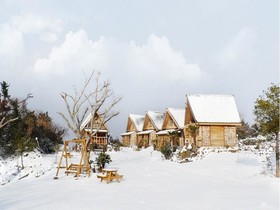 Tree House