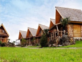 Tree House