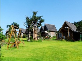 Tree House