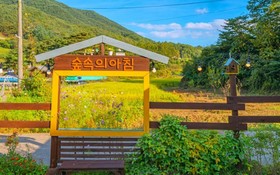 Seongju Morning In the Forest Pension