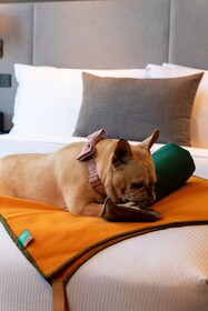 DoubleTree by Hilton Seoul Pangyo