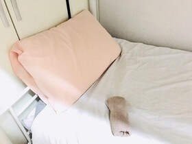 1 Kay House - Place 4 - Hostel
