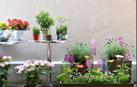 The Blossom Yeonnam Guesthouse