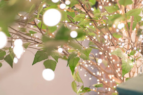 The Blossom Yeonnam Guesthouse