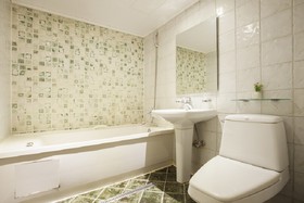 ANA Hotel