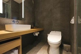 Borjomi Boutique Seoul Hotel