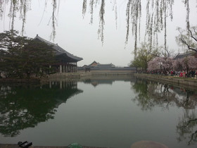 Dajayon Guest House