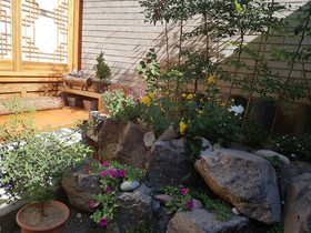 Dajayon Guest House