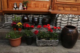 Dajayon Guest House