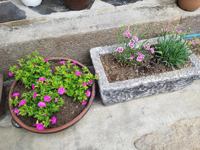 Dajayon Guest House