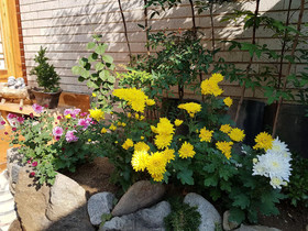Dajayon Guest House
