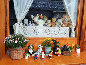 Dajayon Guest House