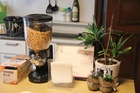 Dream Comfort Guesthouse