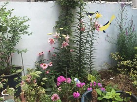 Duri Guesthouse