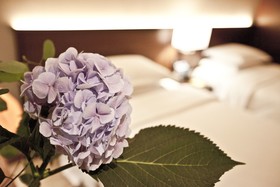 Four Points by Sheraton Josun, Seoul Station