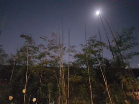 Gongsimga Guesthouse