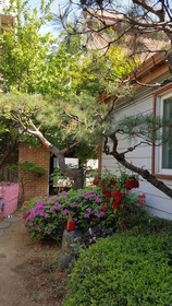 HaHa Guesthouse Hostel