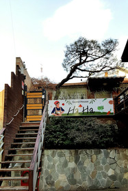 HaHa Guesthouse Hostel