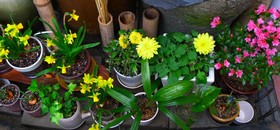 Han OK Guest House 201