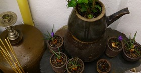 Han OK Guest House 201